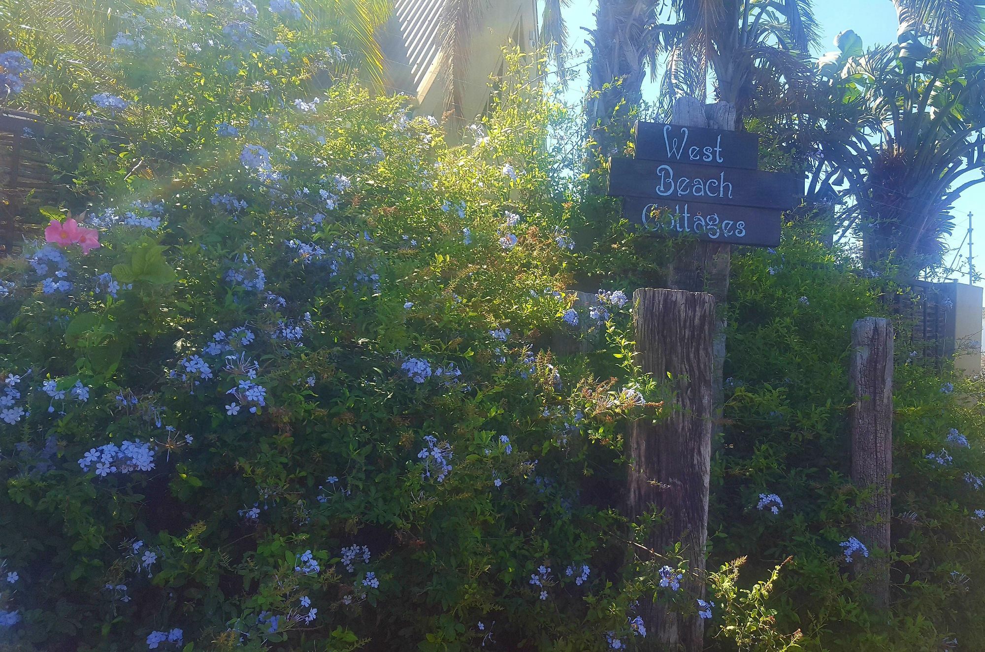 West Beach Cottage Bloubergstrand Dış mekan fotoğraf